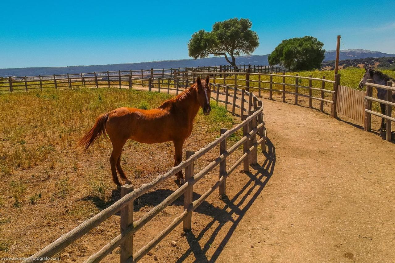 Pensjonat Cortijo El Indiviso Vejer de la Frontera Zewnętrze zdjęcie